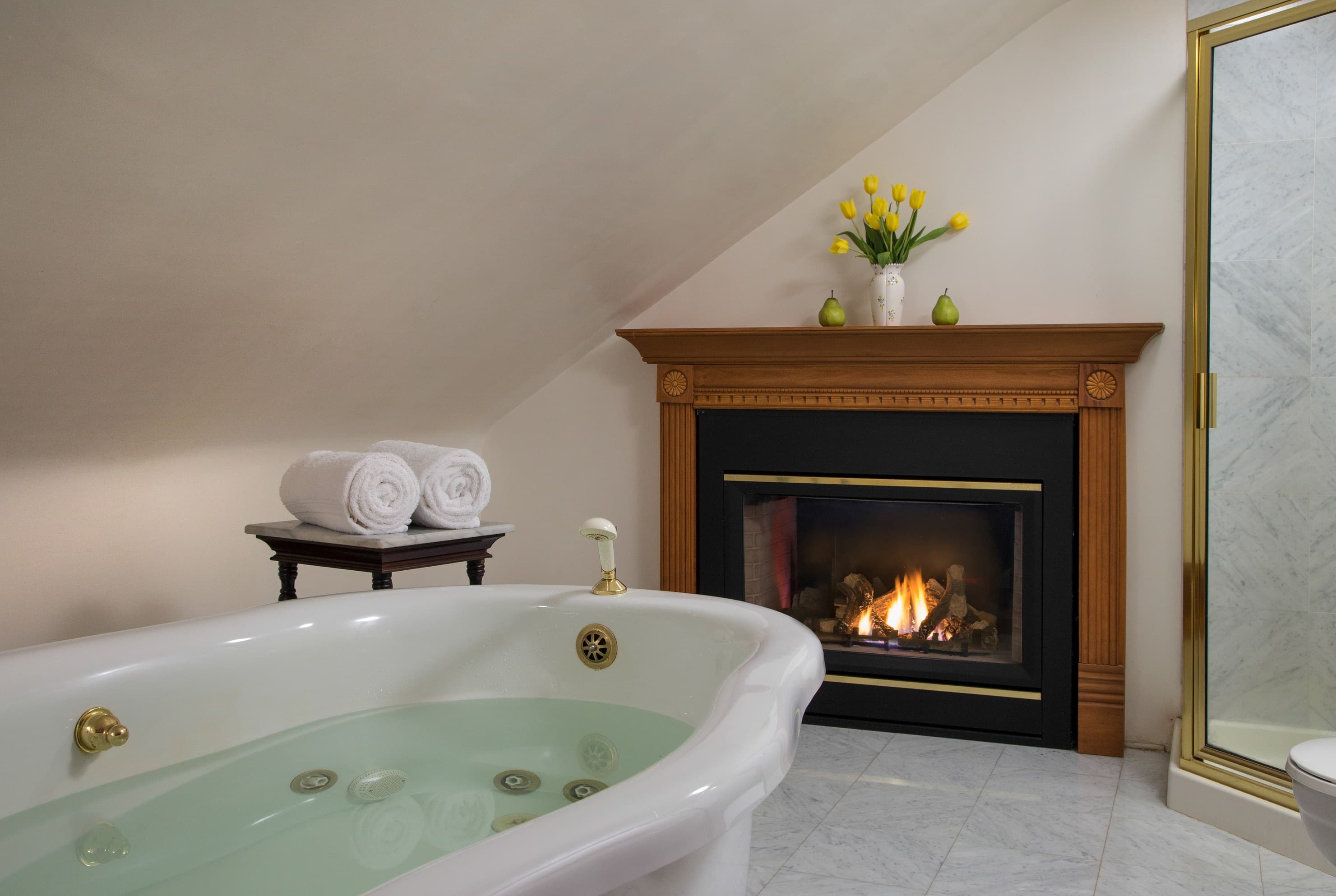 Romantic Retreat #14 Bath Tub, Shower, and See Through Fireplace