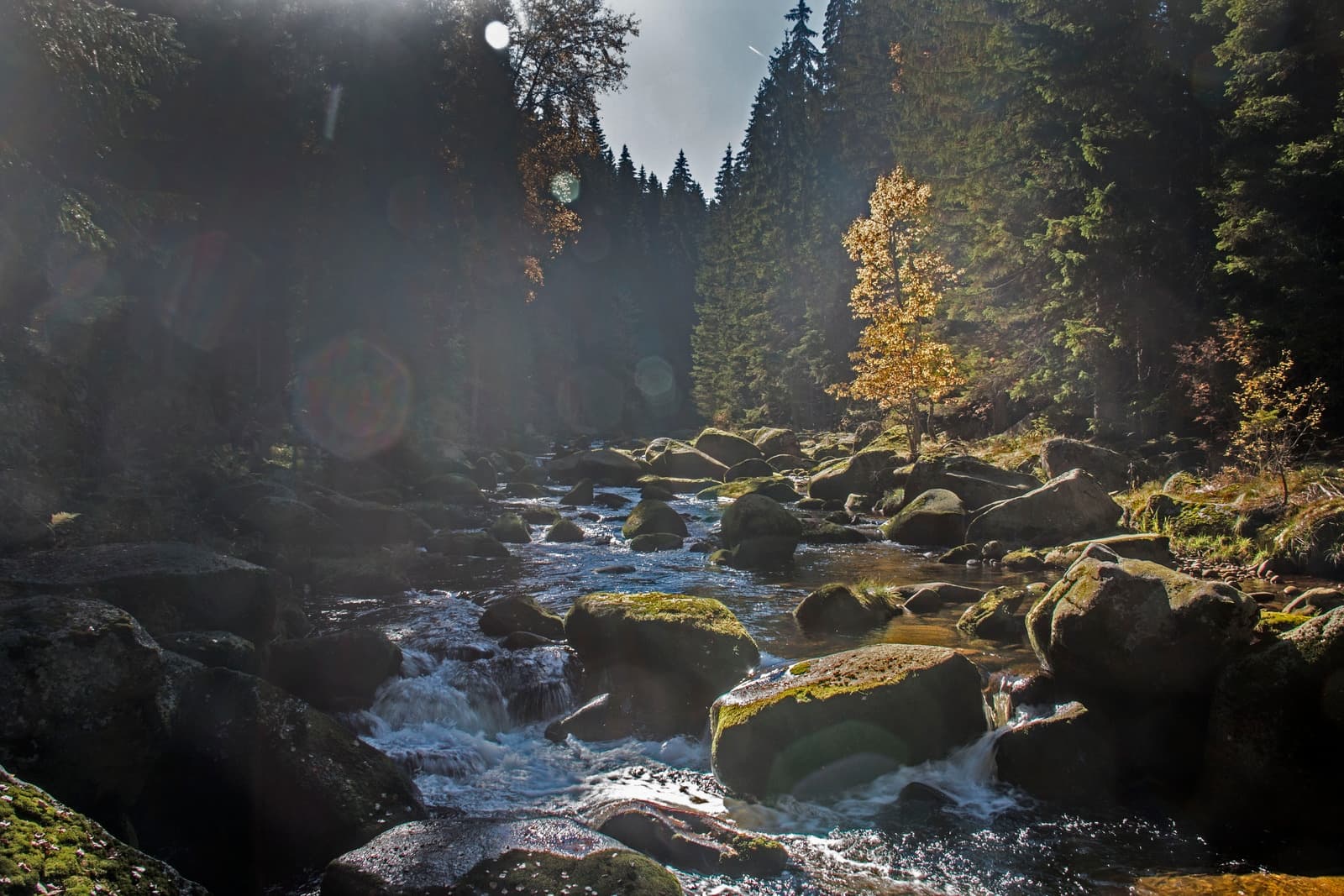 A serene river flows through a rocky landscape, surrounded by tall trees and autumn foliage.
