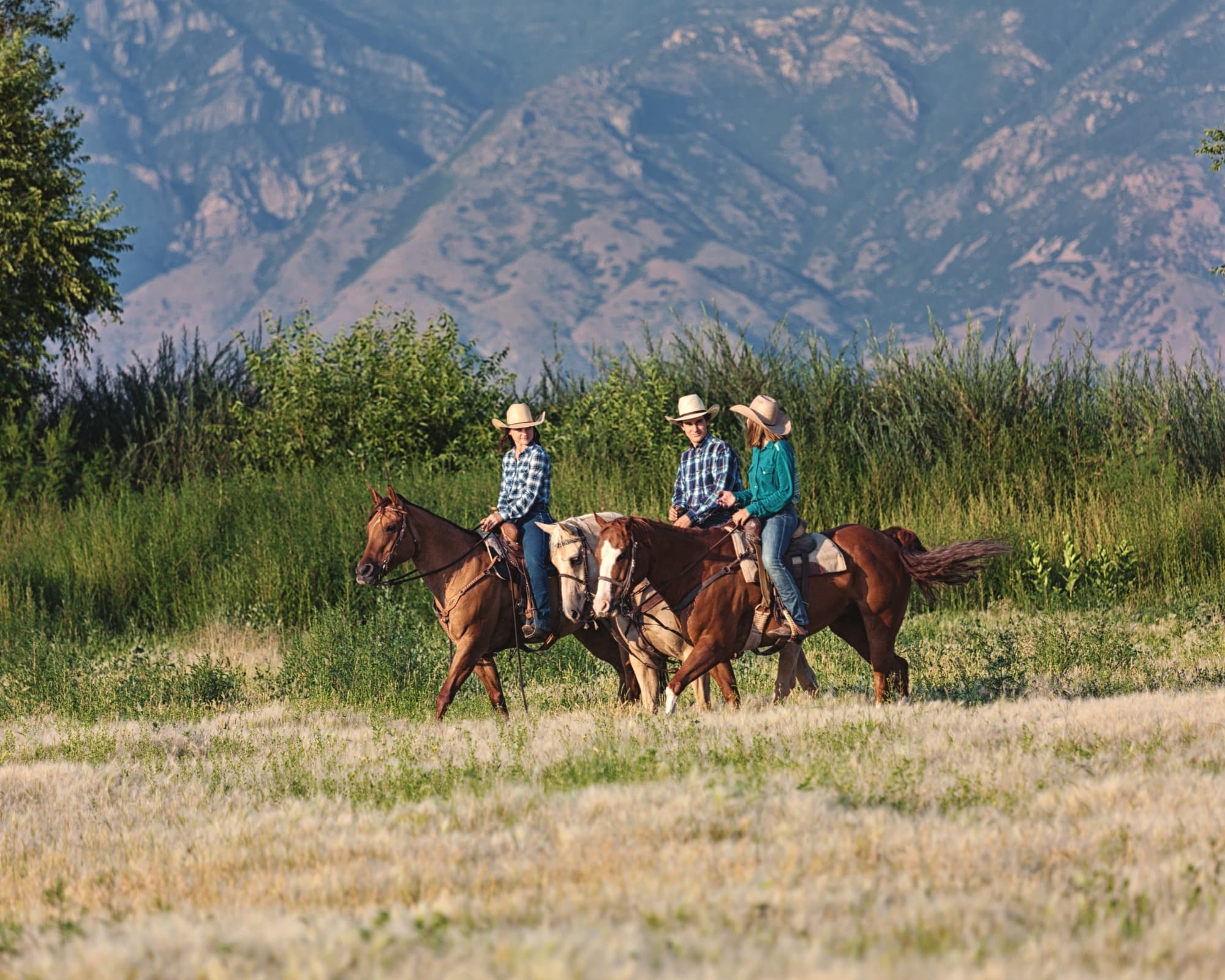 Three riders in cowboy hats on horseback traverse a grassy field with mountains in the background.