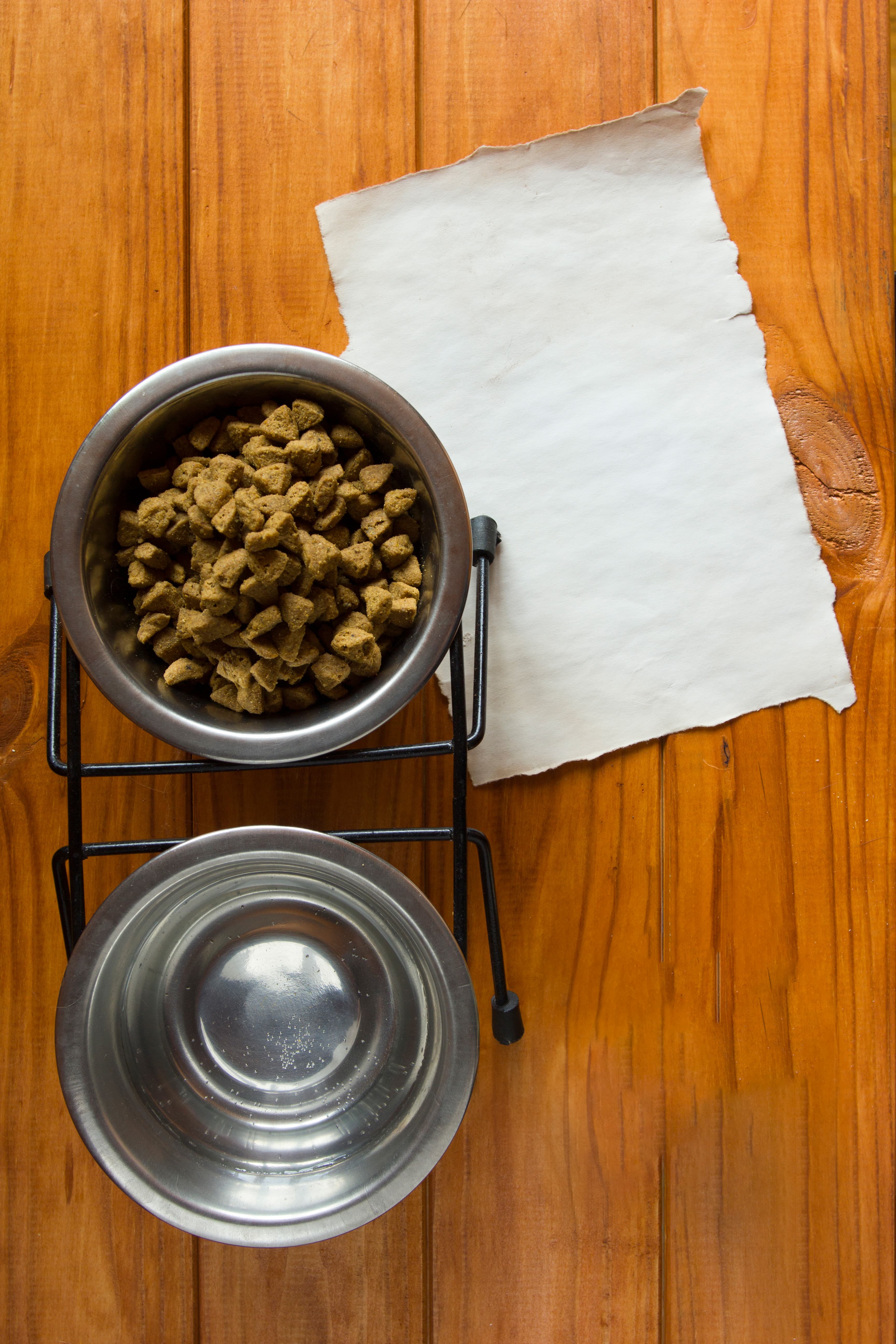 A dog food bowl filled with kibble next to a clean water bowl and a blank piece of paper on a wooden surface.