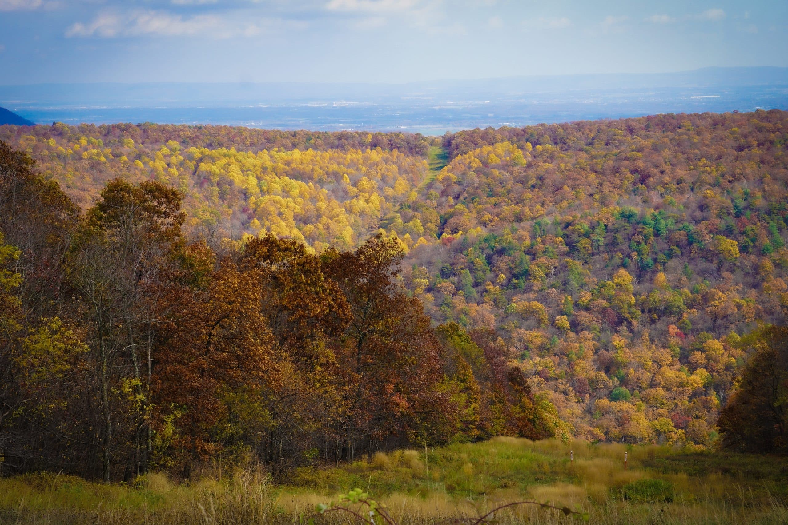 A scenic view of rolling hills covered in autumn foliage.