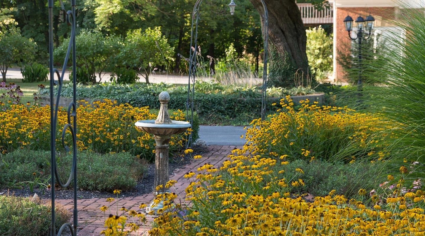 A serene garden path lined with vibrant yellow flowers and a decorative fountain.