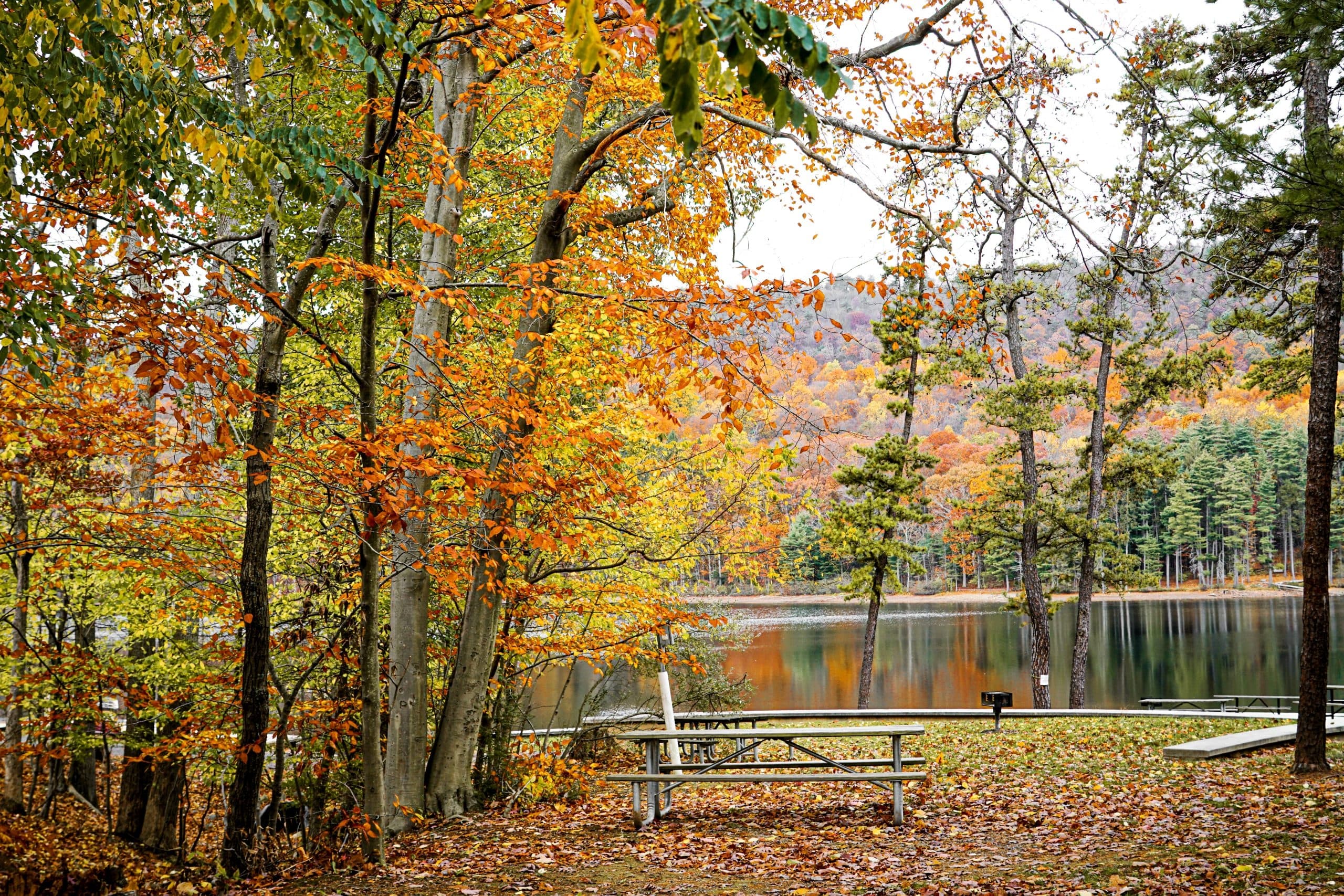 A serene lakeside scene with autumn foliage surrounding a picnic table.