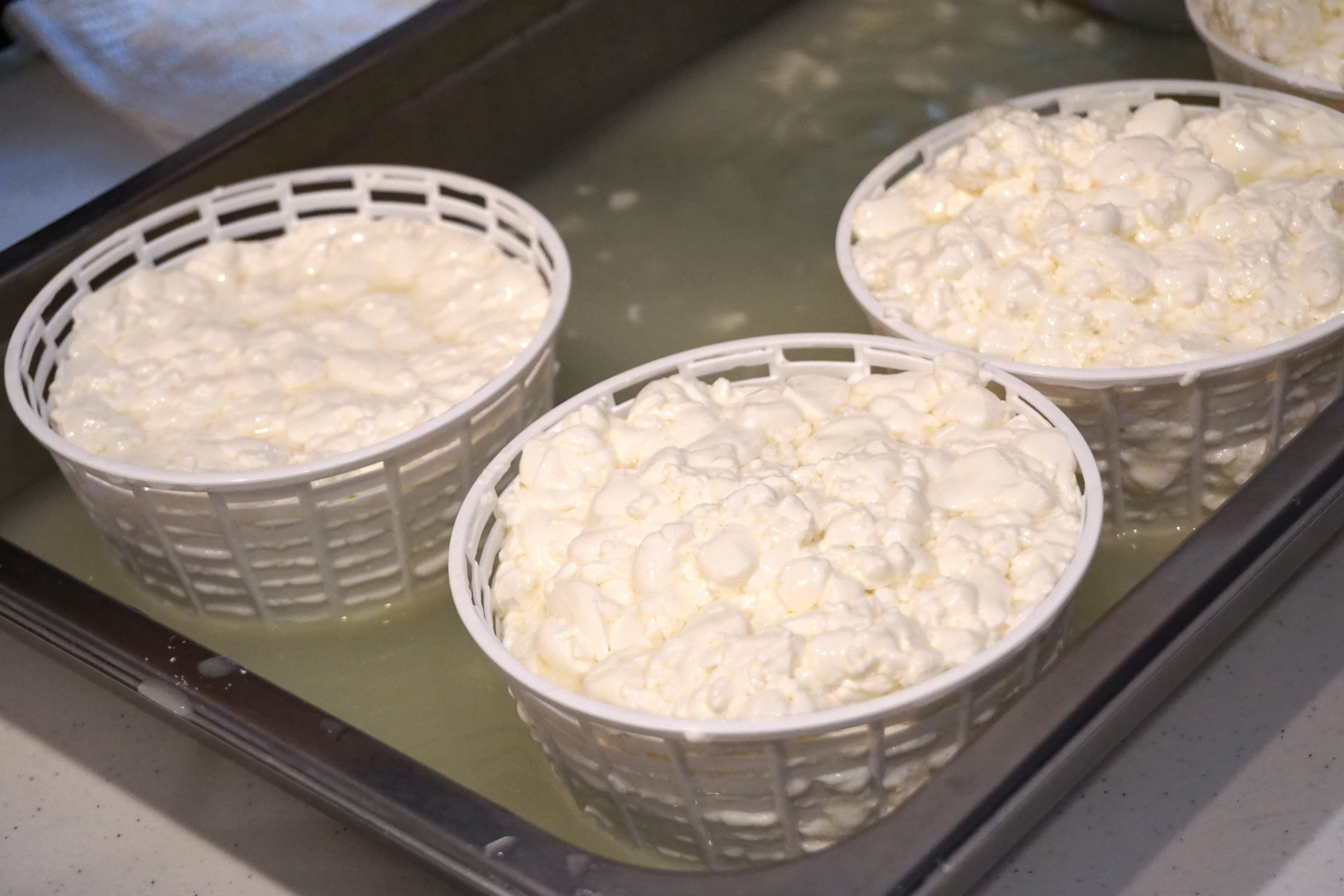 Three baskets containing fresh cheese curds sit in a tray of whey.