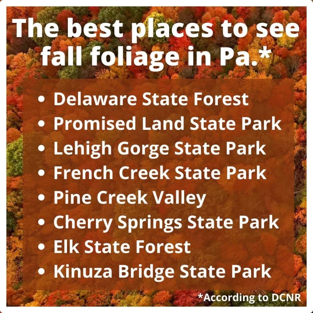 List of top locations in Pennsylvania for viewing fall foliage.