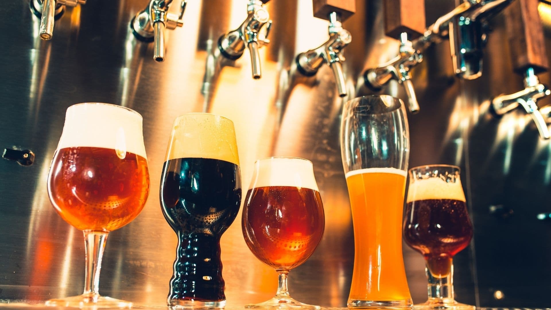 Five different styles of beer in glasses lined up against a metallic backdrop with taps.