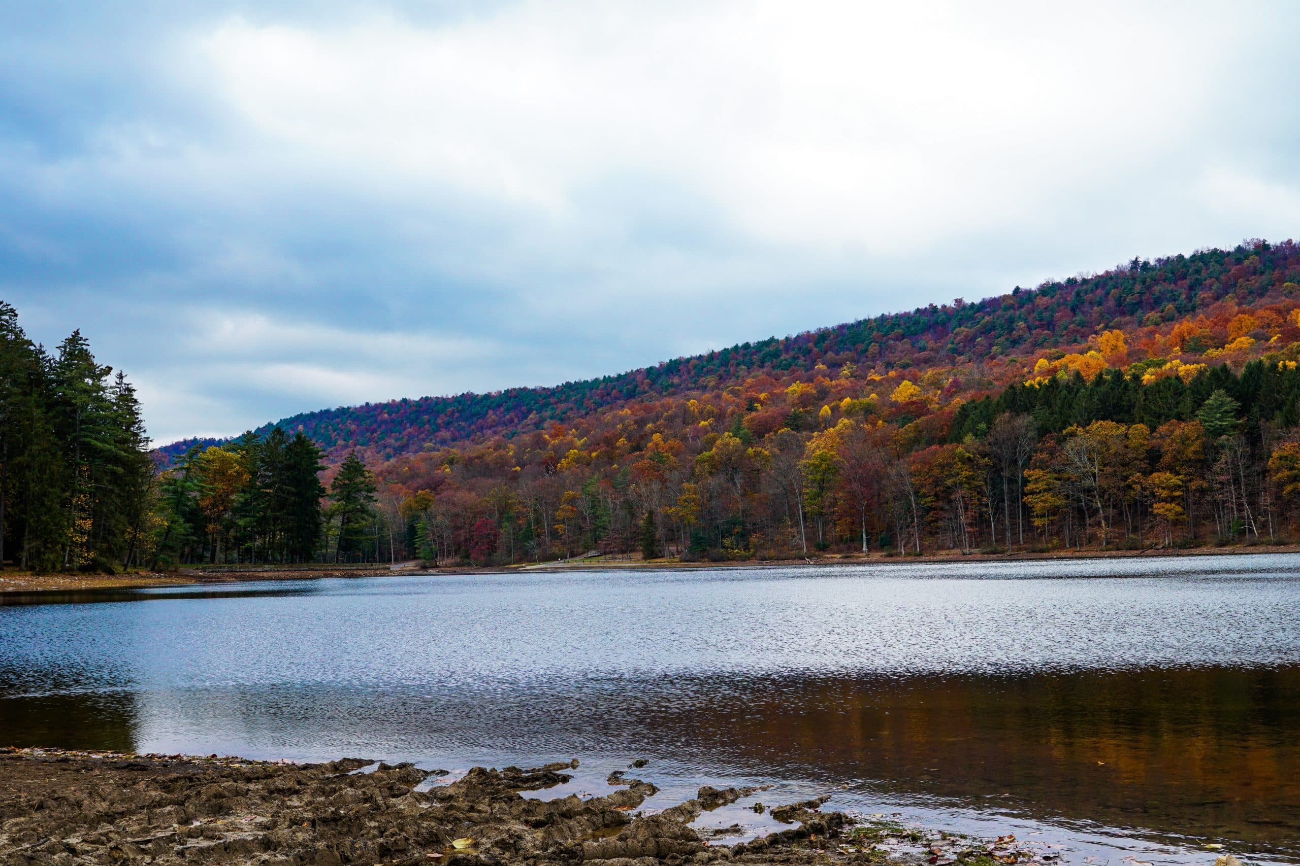 A serene lake surrounded by autumn-colored trees under a cloudy sky.