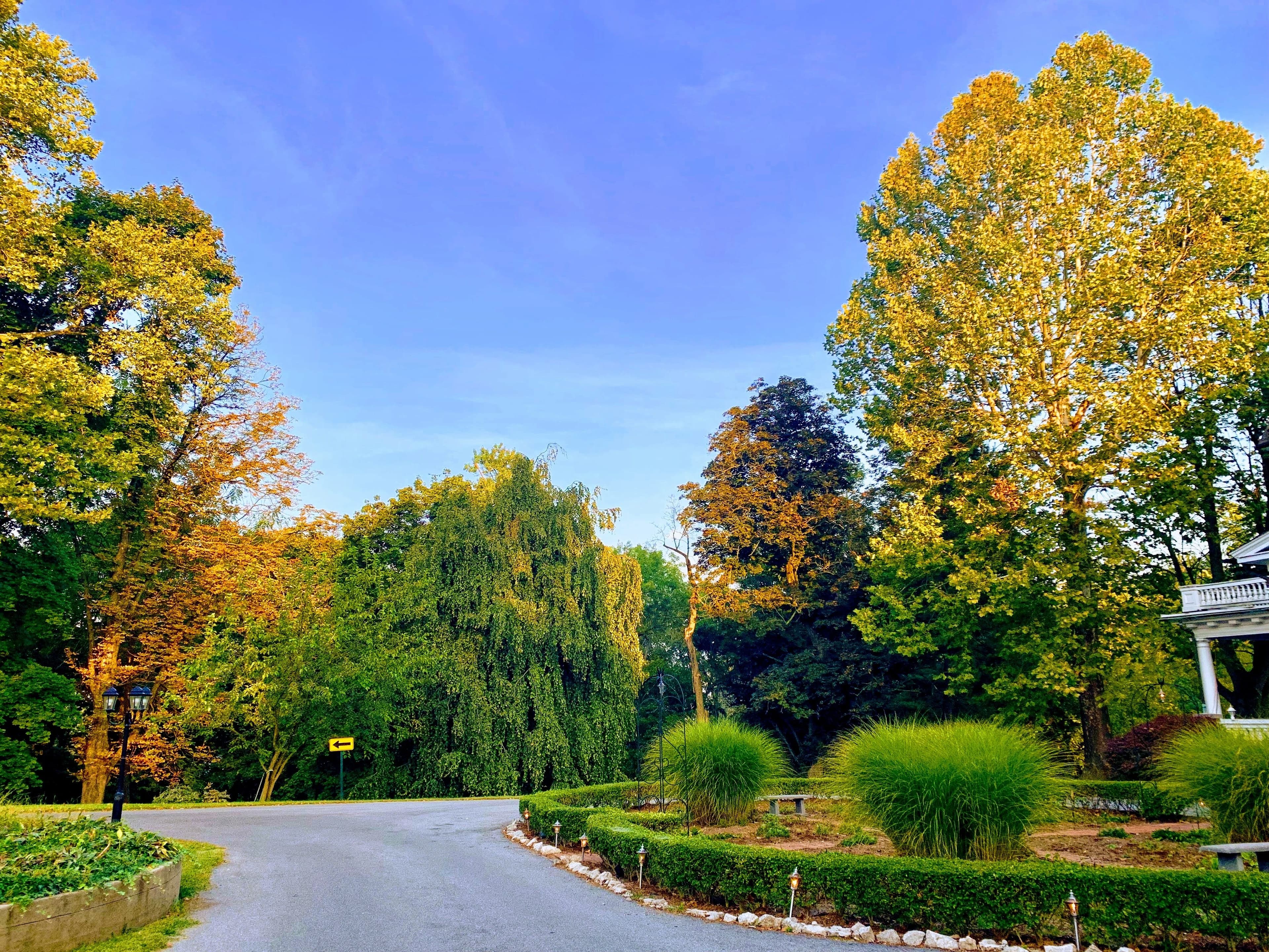 Curved road surrounded by lush greenery and colorful autumn trees under a clear blue sky.