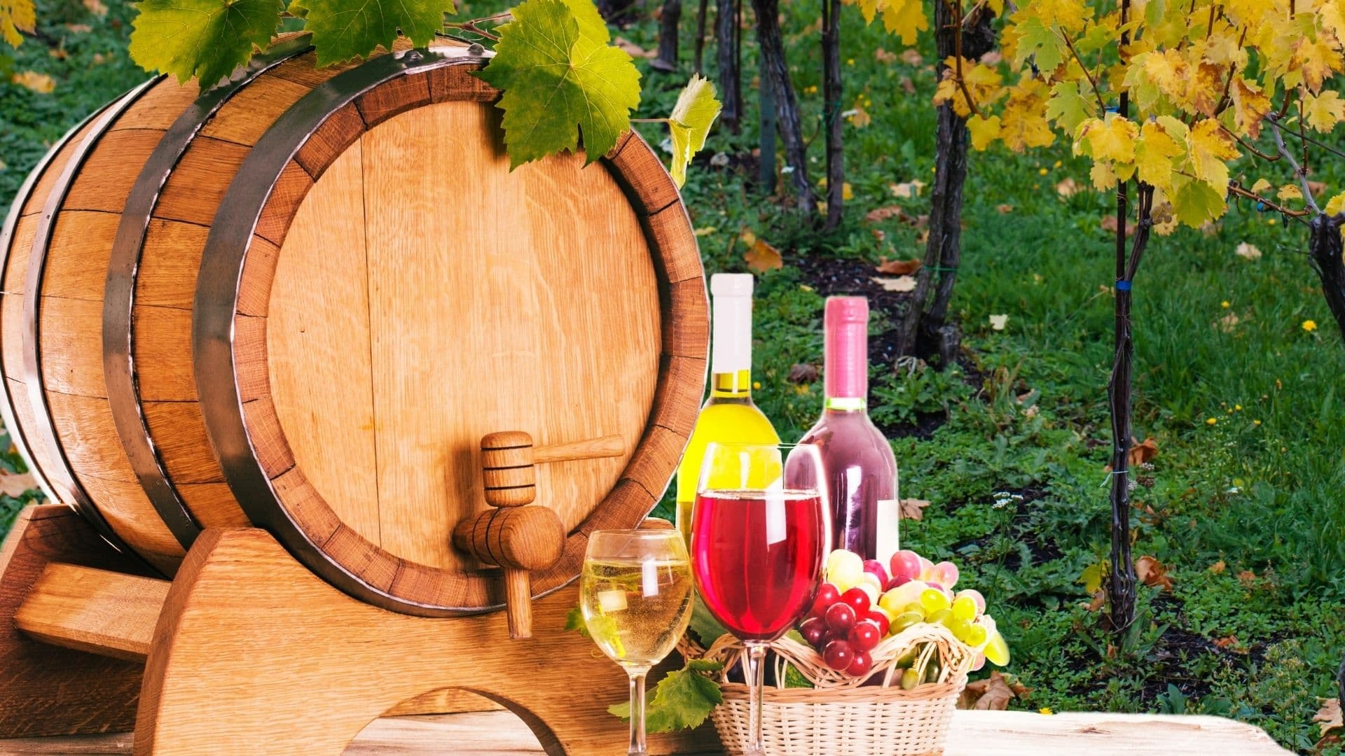 A wooden wine barrel, two wine glasses, and bottles sit beside a basket of grapes in a vineyard. The scene evokes a rustic, autumnal ambiance.
